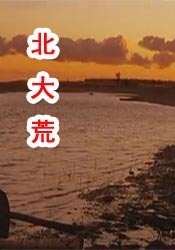 国产综合视频